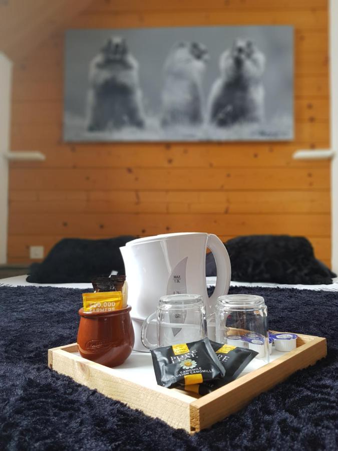 Gite Chalet Du Soulor Arrens-Marsous Dış mekan fotoğraf